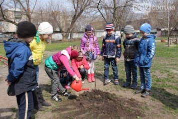 В Славянских учебных заведениях высадили деревья