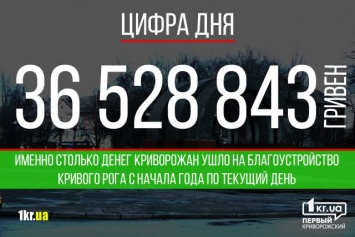 Куда уходят наши деньги. Как «хозяйничает» управление благоустройства Кривого Рога [ОПРОС]