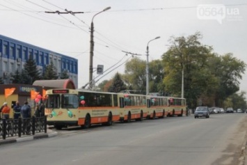 В Кривом Роге троллейбус наехал на водителя