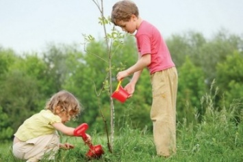 «Посади дерево добра»: херсонцам предлагают провести день с большой пользой