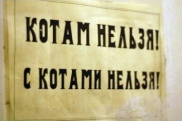 Помимо продуктов, оккупанты не пропустили в Крым котов, собак и кур