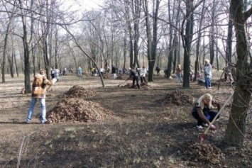 Уборка городского парка начата в пятницу