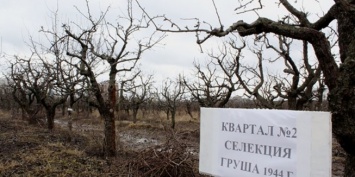 Глава Минприроды выступил против застройки земель Тимирязевской сельхозакадемии