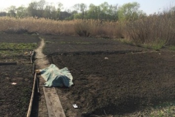 Боевики продолжают вести артобстрелы по жилому сектору Авдеевки: погибла местная жительница