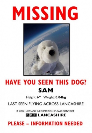 В Британии ищут плюшевого щенка, который потерялся в космосе