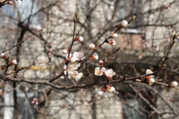 Весна на улицах Славянска