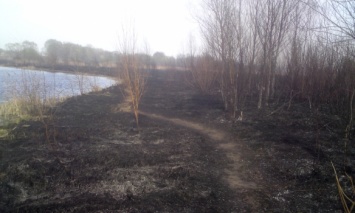 В Полтавской обл. спасатели за минувшие сутки ликвидировали 8 пожаров на открытой территории