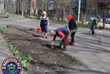 Организация инвалидов Макеевки участвует в благоустройстве города
