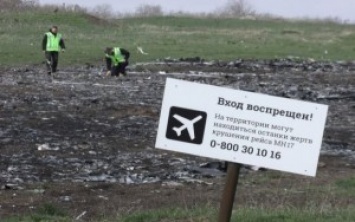 Покушались на убийство главного эксперта в деле MH17: Матиос