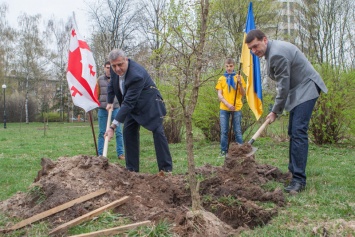 В Киеве появилась аллея украино-грузинской дружбы