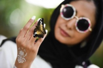 Нельзя курить, есть пищу и распускать руки: в Дубае расцвел сад с 15 тысячами бабочек