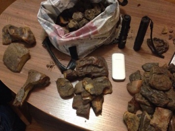 Правоохранители изъяли 3 кг янтаря в Ровенской области