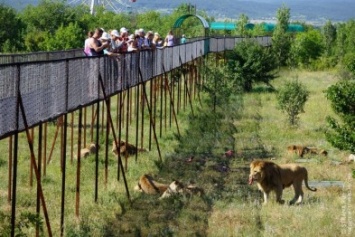 Накануне курортного сезона в Крыму закрылись два самых больших и знаменитых крымских зоопарка