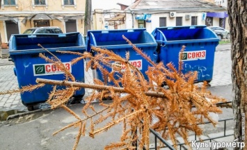 В Одессе выкинули последнюю новогоднюю елку