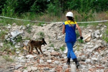 Всеукраинские соревнования собак-спасателей снова проведут в Павлограде