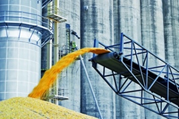 Украина экспортировала почти 32 млн тонн зерновых