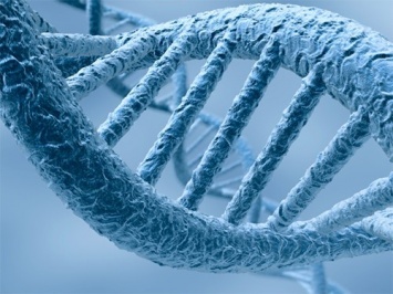 Шведские ученые нашли ген инсульта