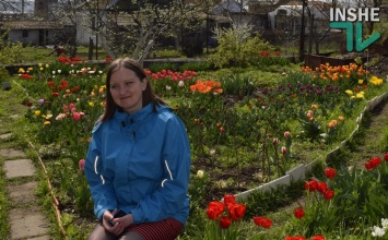 Четыре «сотки» красоты в Николаеве: «Тюльпановая радуга» Инны Токаревой ждет посетителей