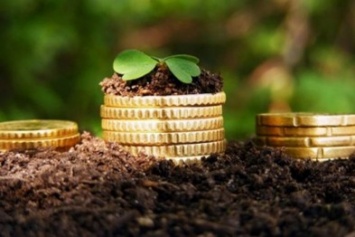 В Сумской области на треть увеличатся инвестиции в сельское хозяйство