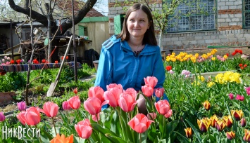 Николаевская девушка вырастила тюльпановое поле из 150 сортов