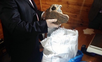 СБУ изъяла у скупщиков янтаря на 8 млн грн (фото)