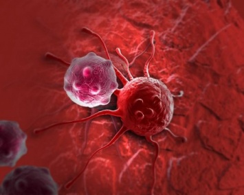 Ученые: Раковые опухоли могут эксплуатировать здоровые клетки