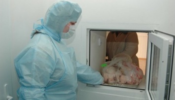 Россия нашла возбудители болезней в белорусских мясе и рыбе