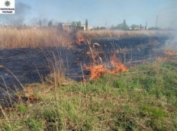 Патрульные Николаева помогли тушить пожар в парке «Лески»