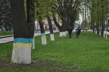 Херсонцы хотят высадить аллею деревьев в честь «Небесной сотни»