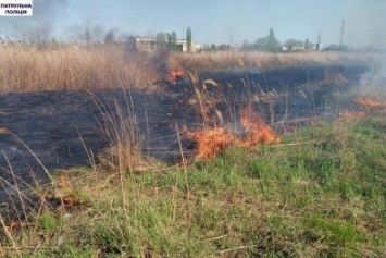 В Николаеве горел парк "Лески" (ФОТО)