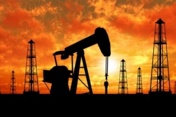 Полтавские депутаты не дали разрешения на разработку и добычу нефти