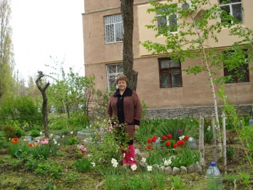 В Заводском районе проходит конкурс на лучшую цветочную клумбу