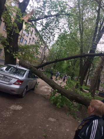 В Запорожье люди Буряка угрожали медикам "скорой помощи" из-за упавшего дерева