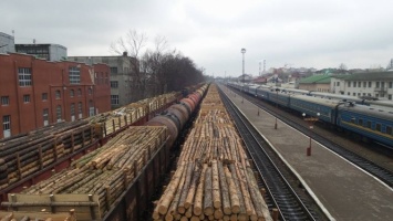 Прокуратура проведет экспертизу относительно происхождения 22 вагонов леса задержанного в г. Чоп