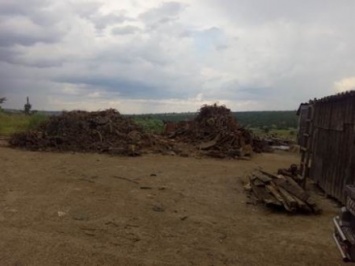 СБУ разоблачила многомиллионные убытки, причиненные экологии Луганской области