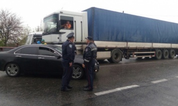 В Николаевской обл. активисты более полутора часов блокировали движение по трассе, требуя выделения земель под пастбища