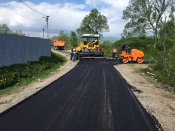 Дорогу в "Долину нарциссов" в Закарпатской области отремонтируют до начала цветения цветов