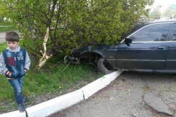 Мариупольский водитель повредил столб и дерево (ФОТО)