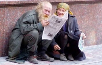 Приют для бездомных обустроят в Кировограде