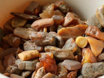 Группе лиц сообщили о подозрении в незаконной добыче янтаря в Житомирской области
