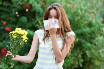 Сезонная аллергия: симптомы, причины, средство борьбы