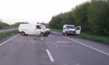 В Ровенской обл. столкнулись два автомобиля, погибли водитель и лось, выбежавший на дорогу