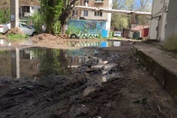 Одесский двор, уставший плавать, написал Порошенко жалобу (ФОТО)