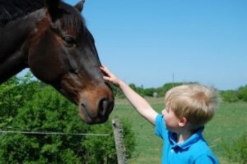 На ипподроме в Башкирии на 7-летнего мальчика упал забор