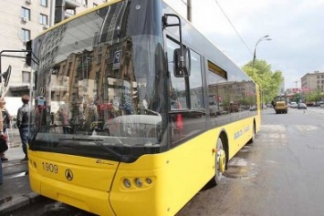 В Шевченковском районе рухнувшее дерево заблокировало движение автобусов