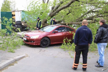 В Соломенском районе дерево упало на машины