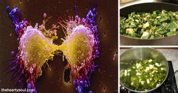 15 продуктов, которые разрушают клетки рака, выводят токсины и выводят свободные радикалы