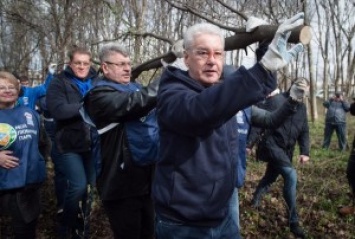 Какие вожди, такие и бревна. Мэр Москвы удивил фото с "бревном"