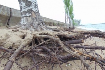 В Мариуполе исчезла часть городского пляжа (ФОТО)