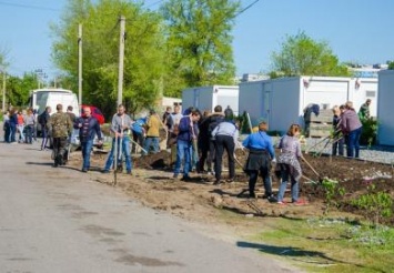 На Днепропетровщине в модульном городке для переселенцев высадили долгожданную зеленую зону